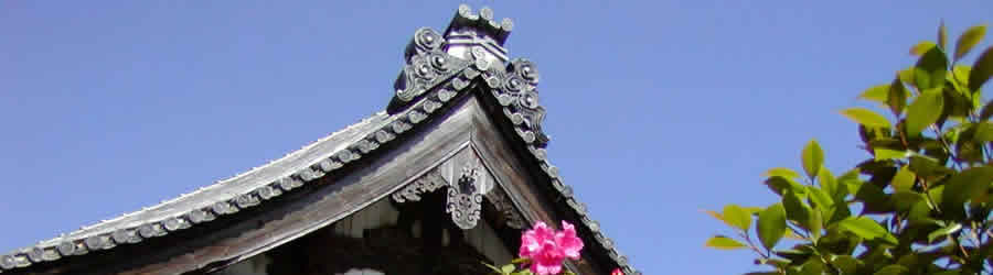 お寺弁護士.com｜たいが法律事務所